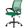 Home Office Chair Ergonomic Desk Chair