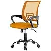 Home Office Chair Ergonomic Desk Chair